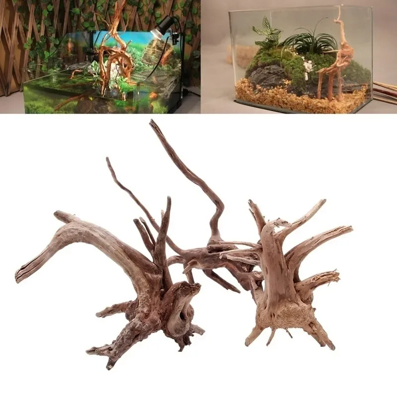 Live Plant Aquarium - Pohon alami kayu apung akuarium tangki