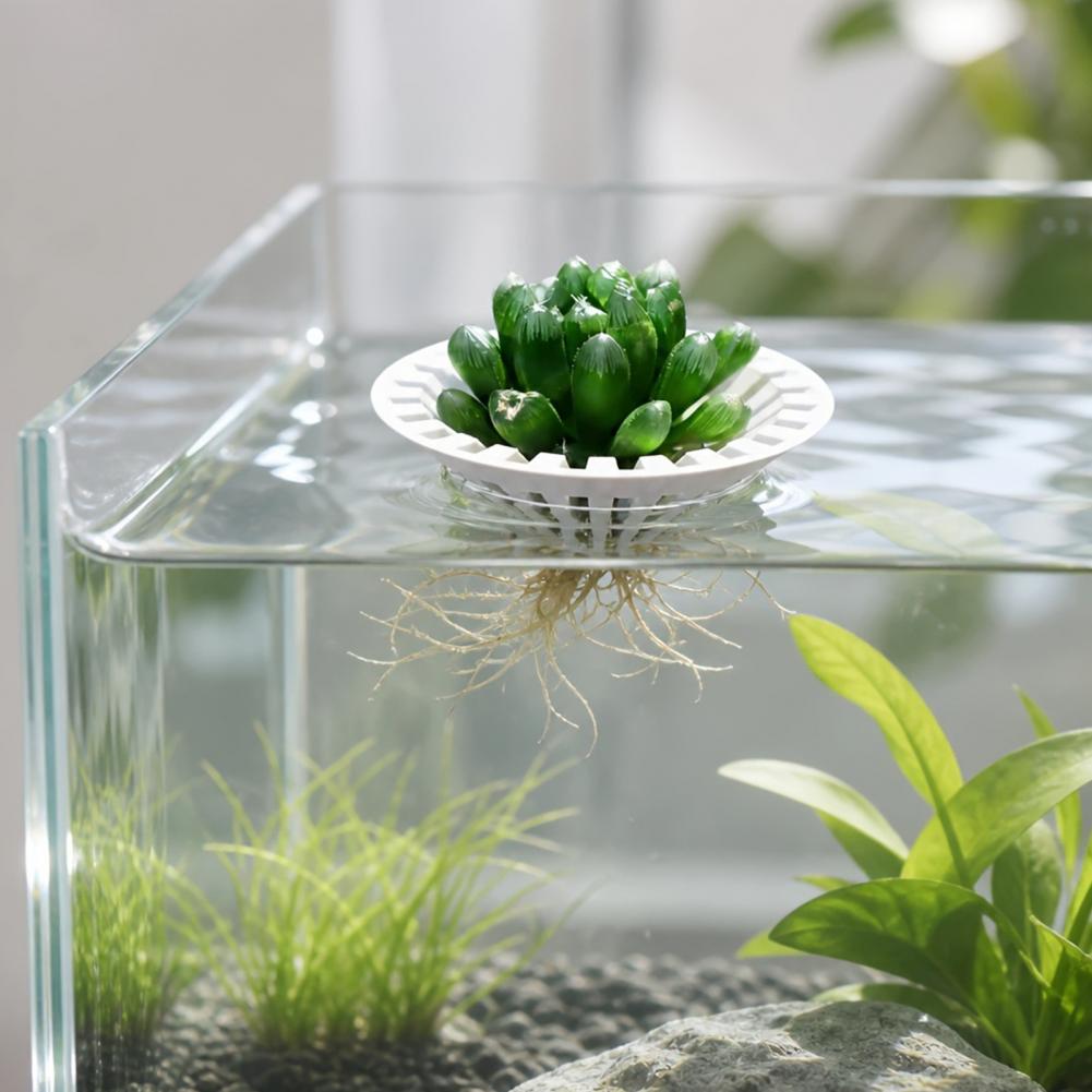 Aquarium Plant Holder - Wadah Tanaman Hidroponik Akuarium, Tempat Tanaman