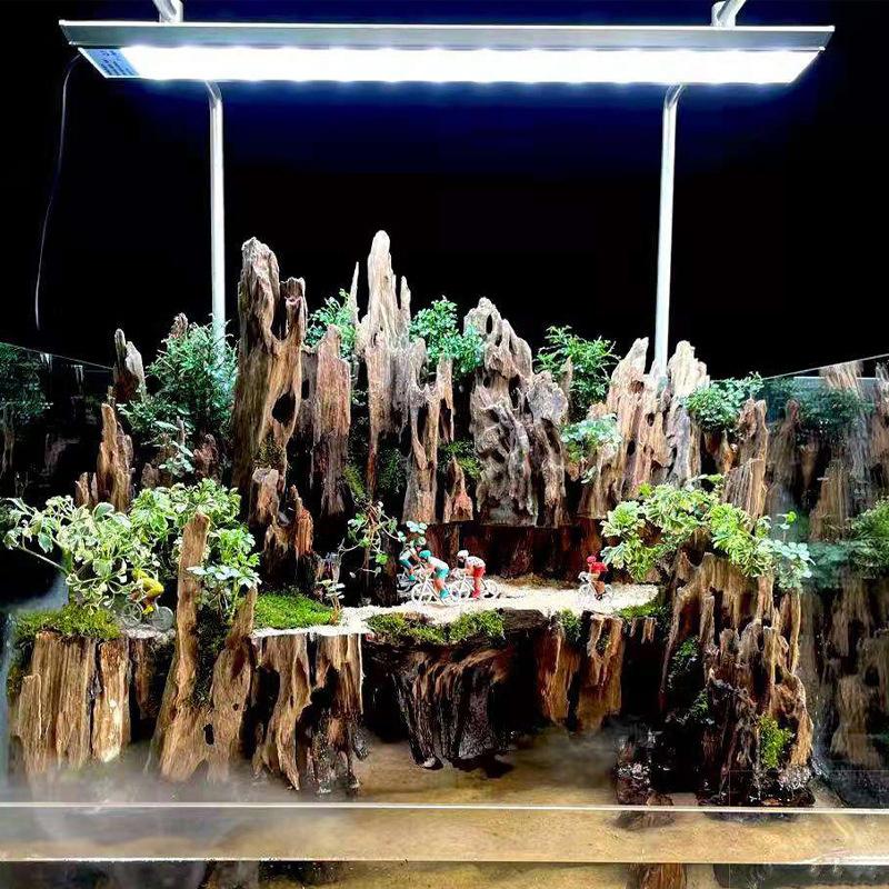Aquarium Driftwood - Dekorasi Akuarium Kayu Udang, Aksesoris Hiasan