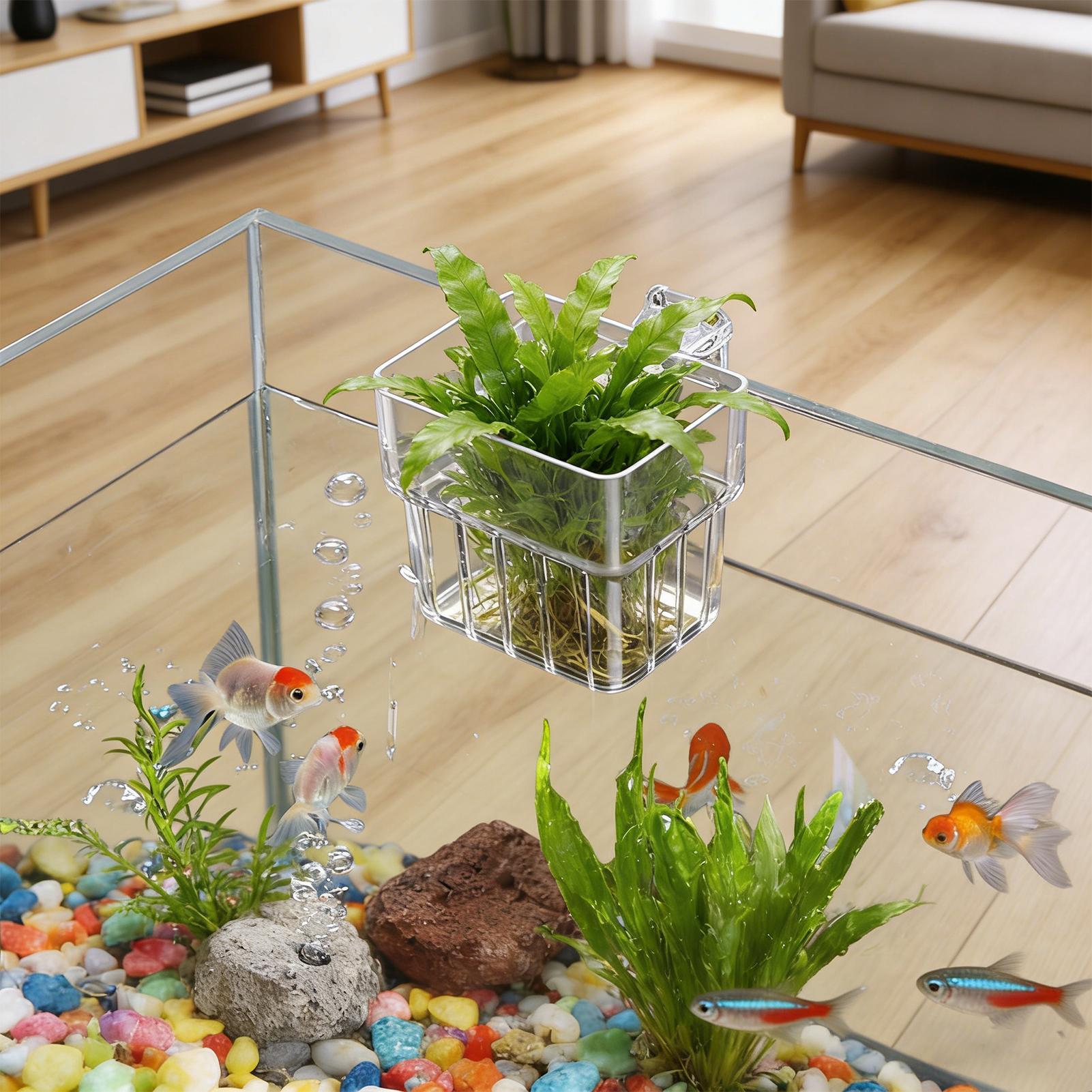 Aquarium Plants Live - Keranjang Tanam Gantung untuk Akuarium, Terpasang