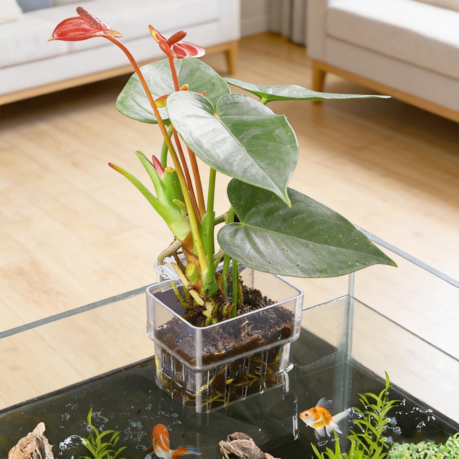 Plant Aquarium Pot - Keranjang Tanaman Akuarium Transparan, Dekorasi Gantung