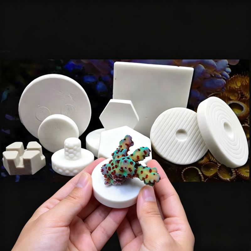 Aquarium Plants Live - Alas Keramik SPS untuk Coral Frag,