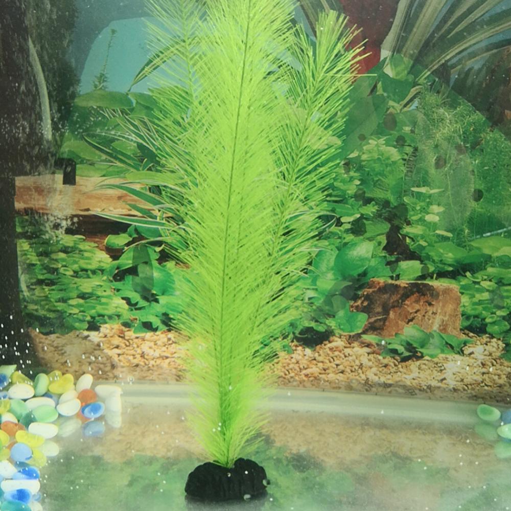 1/3 buah 28-40 cm tangki ikan  - Aquarium Plants Live ulasan dan harga