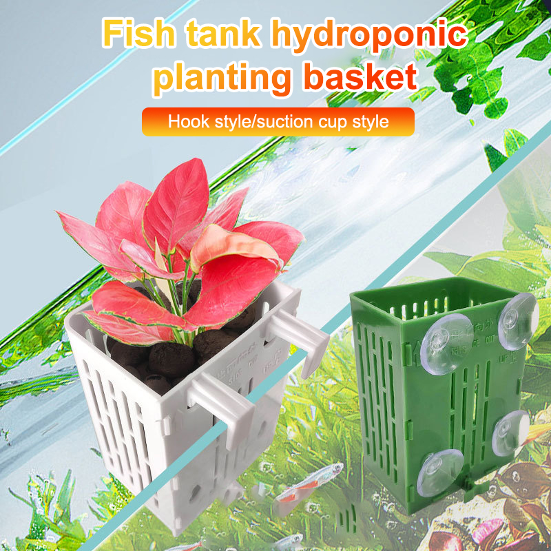 Kait cangkir hisap gantung pem - Plant Aquarium Pot ulasan dan harga