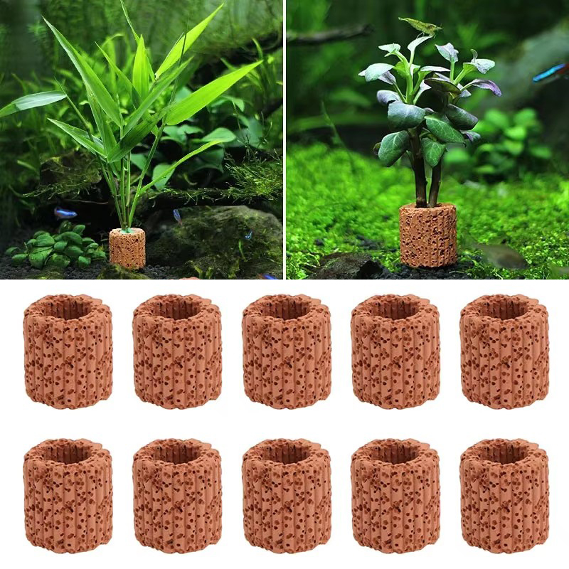 Cincin Tetap Tanaman Air untuk - Plant Aquarium Pot ulasan dan harga