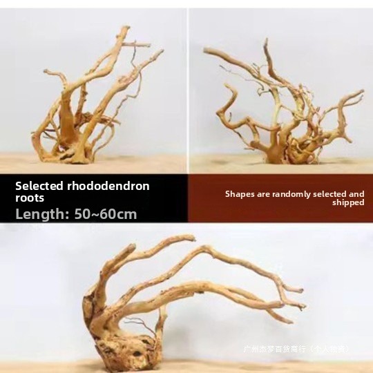 Cabang Kayu Apung Alami Untuk  - Aquarium Driftwood ulasan dan harga