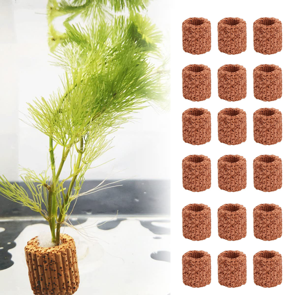 10/20 buah tanaman air akuatik - Plant Aquarium Pot ulasan dan harga