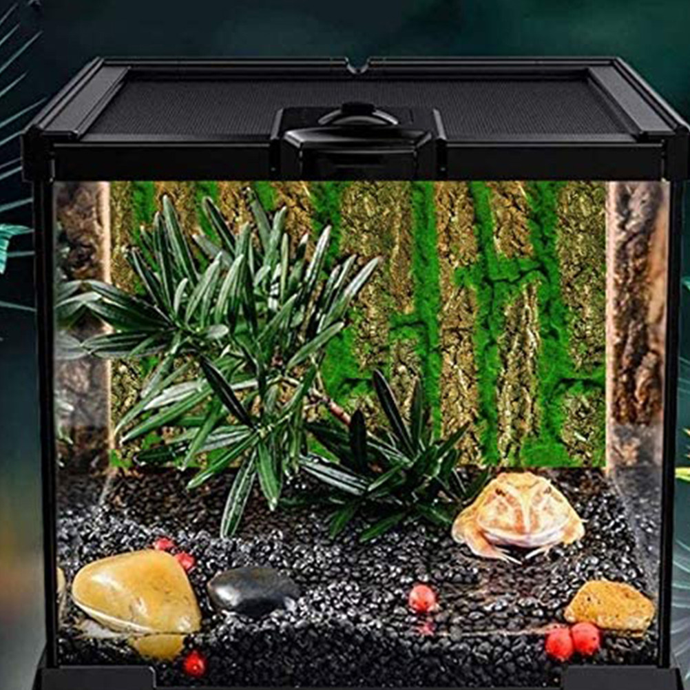 Papan Latar Akuarium 3D dengan - Aquarium Moss ulasan dan harga