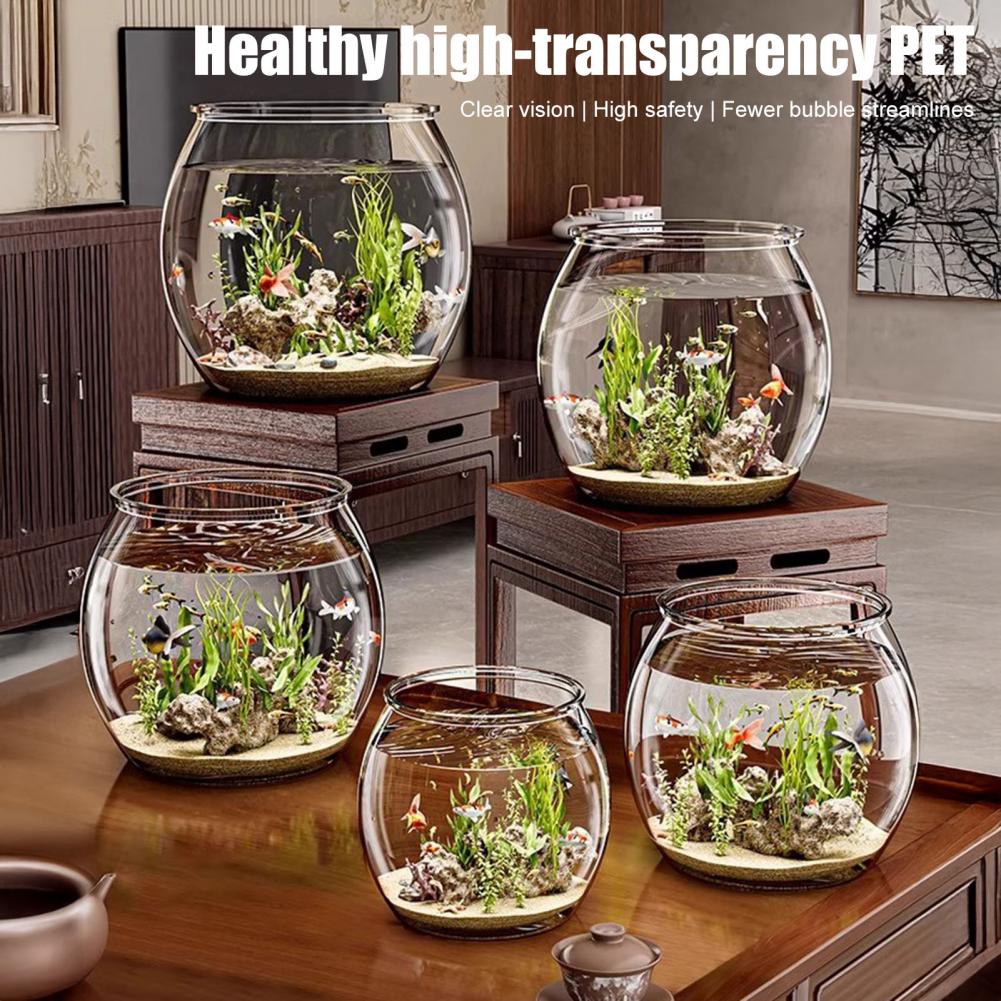 Plastik Bening Bulat Mangkuk I - Plant Aquarium Pot ulasan dan harga