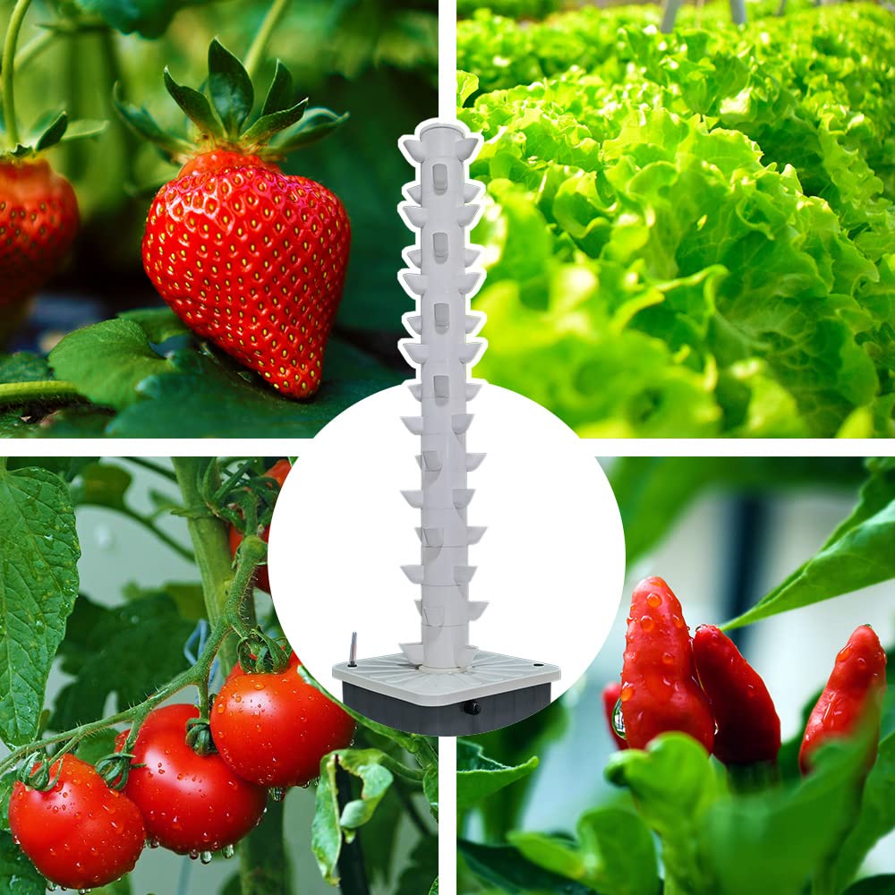 Menara Hidroponik Vertikal Aer - Planted Tank ulasan dan harga