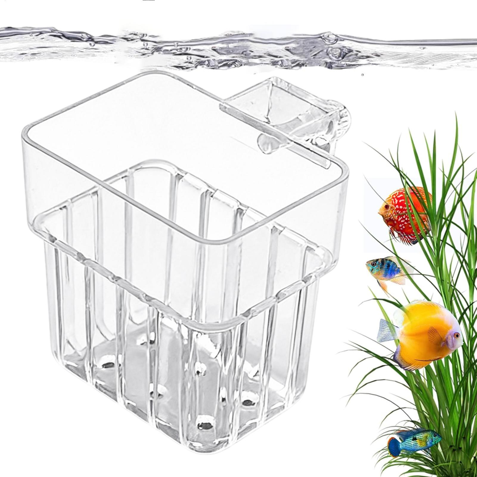 Pot Gantung Transparan untuk A - Plant Aquarium Pot ulasan dan harga