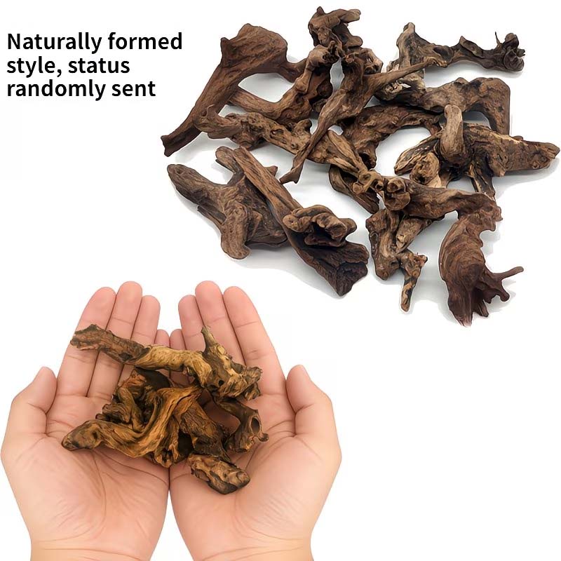 Kayu Apung Alami 5-10CM untuk  - Aquarium Driftwood ulasan dan harga