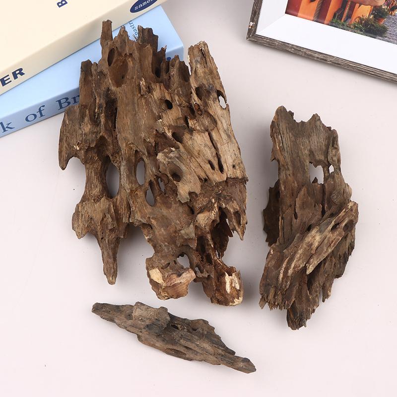 △   Dekorasi Akuarium Kayu Uda - Aquarium Driftwood ulasan dan harga
