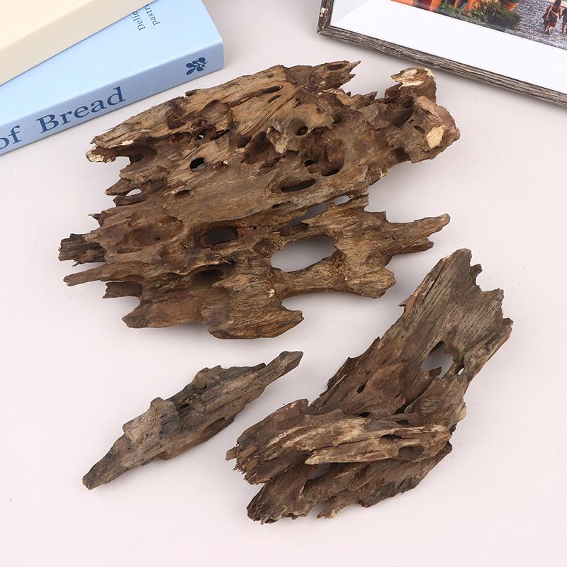 △   Dekorasi Akuarium Kayu Uda - Aquarium Driftwood ulasan dan harga