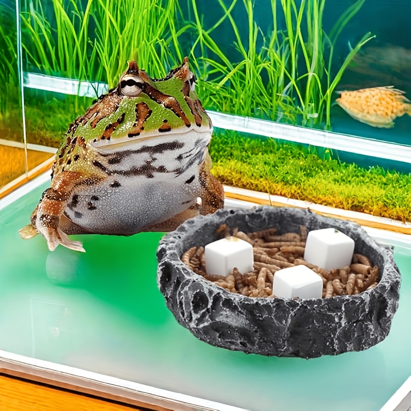 6 Buah Batu Kalsium untuk Akua - Aquarium Fertilizer ulasan dan harga