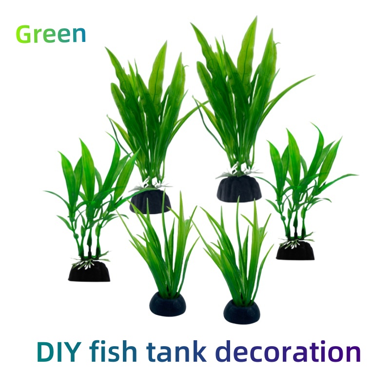 6 buah pak tanaman akuarium, d - Live Plant Aquarium ulasan dan harga