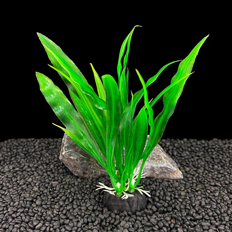 6 buah pak tanaman akuarium, d - Live Plant Aquarium ulasan dan harga