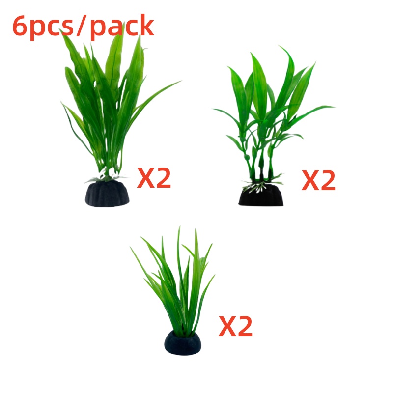 6 buah pak tanaman akuarium, d - Live Plant Aquarium ulasan dan harga